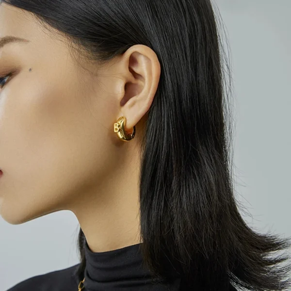 GHIDBK Double Decker Protruding B Hoop Earrings Small Chunky Wide Earring Hoops Statement Trendy Unusual Earrings For Women Gift - zinifashion 36 - Image 2