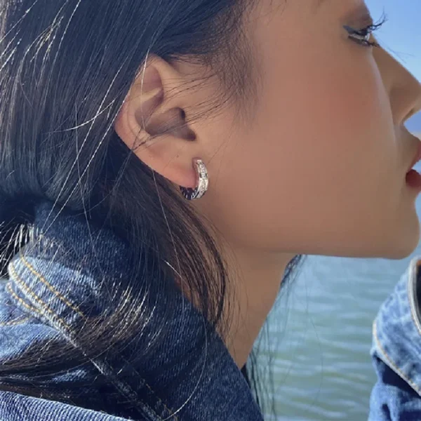 925 Sterling Silver Zircon Round Hoop Earrings for Women Party Minimalist Light Luxury Fashion Jewelry Trendy Accessories - zinifashion 36 - Image 2